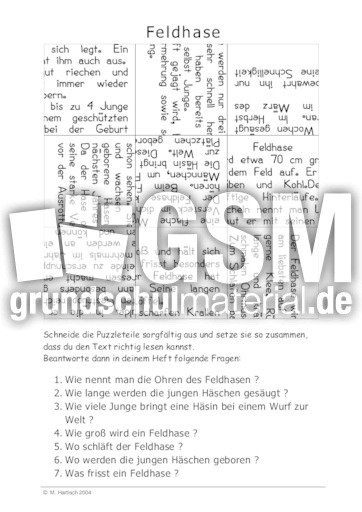 Feldhase.pdf